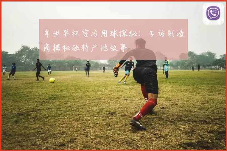 年世界杯官方用球探秘:专访制造商揭秘独特产地故事
