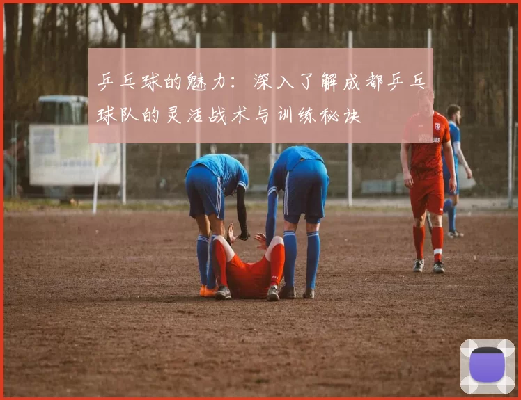 乒乓球的魅力:深入了解成都乒乓球队的灵活战术与训练秘诀