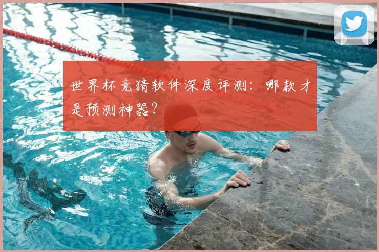 世界杯竞猜软件深度评测:哪款才是预测神器?