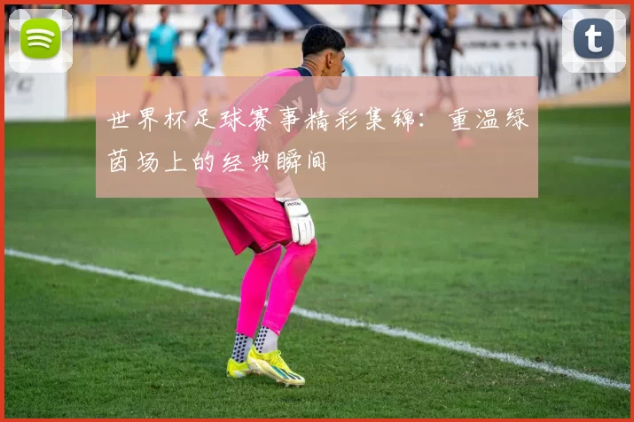 世界杯足球赛事精彩集锦：重温绿茵场上的经典瞬间