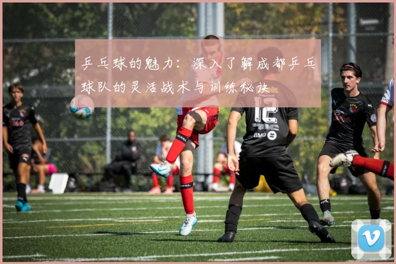 乒乓球的魅力:深入了解成都乒乓球队的灵活战术与训练秘诀