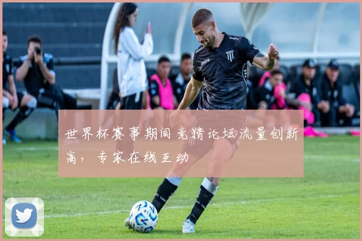 世界杯赛事期间竞猜论坛流量创新高,专家在线互动