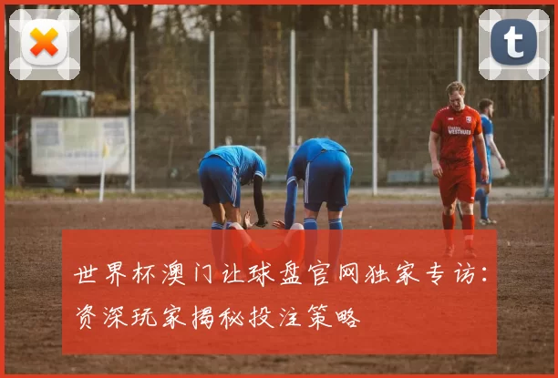 世界杯澳门让球盘官网独家专访:资深玩家揭秘投注策略