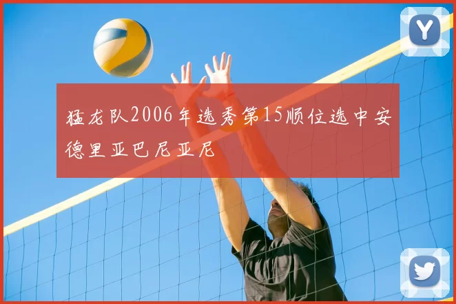 猛龙队2006年选秀第15顺位选中安德里亚巴尼亚尼