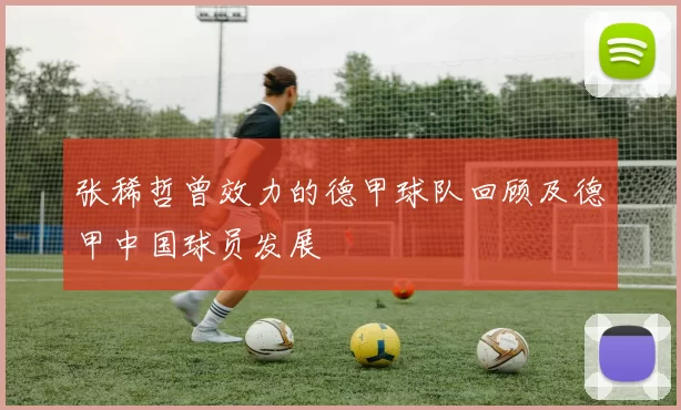 张稀哲曾效力的德甲球队回顾及德甲中国球员发展