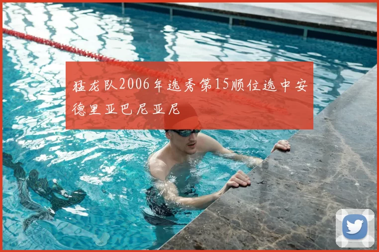 猛龙队2006年选秀第15顺位选中安德里亚巴尼亚尼