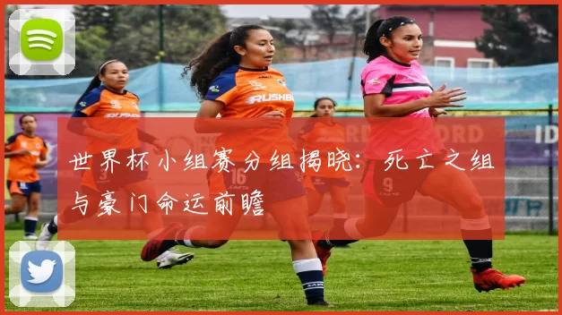 世界杯小组赛分组揭晓:死亡之组与豪门命运前瞻