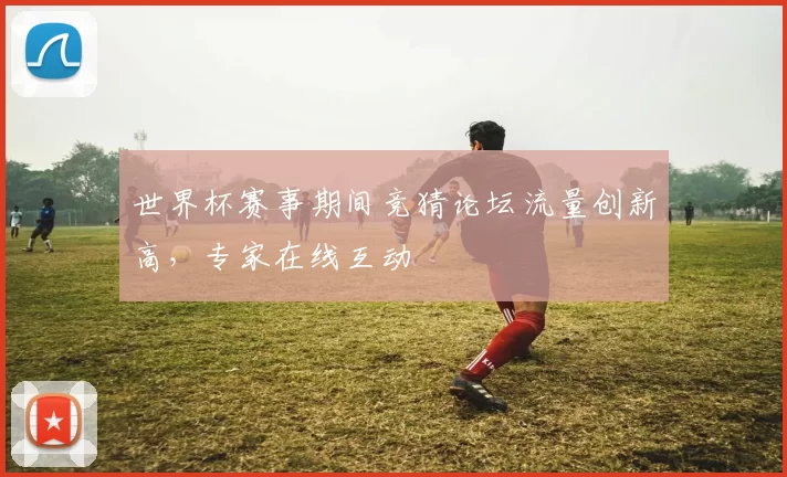 世界杯赛事期间竞猜论坛流量创新高,专家在线互动